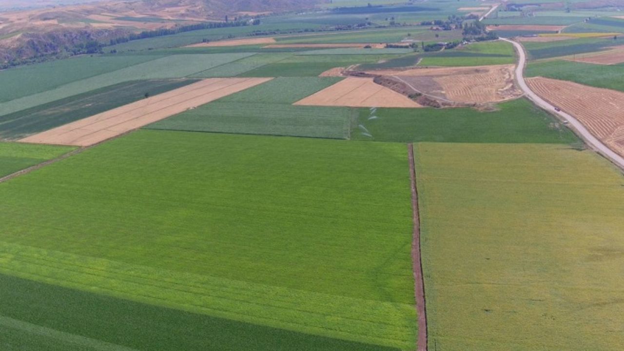 Tapusuz Arazi için Tapu Çıkarılabilir mi?