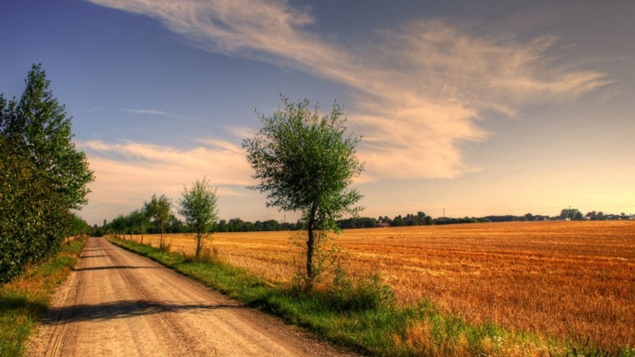 Yolu Olmayan Araziye Ev Yapılabilir mi?