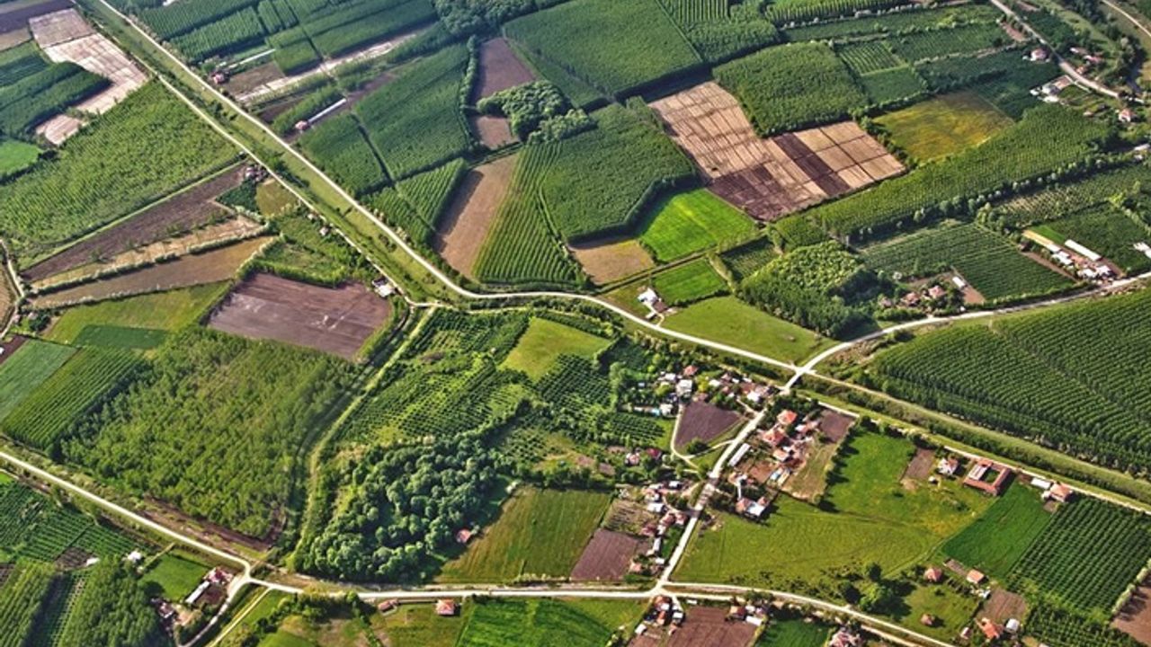 Ecrimisil Nedir, Nasıl Hesaplanır? İzinsiz Kullanılan Kamu Taşınmazlarına Karşı Yaptırım