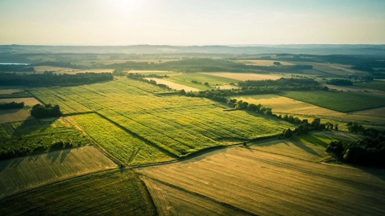 En Çok Konut ve Arsa Aranan Bölgeleri Açıkladı