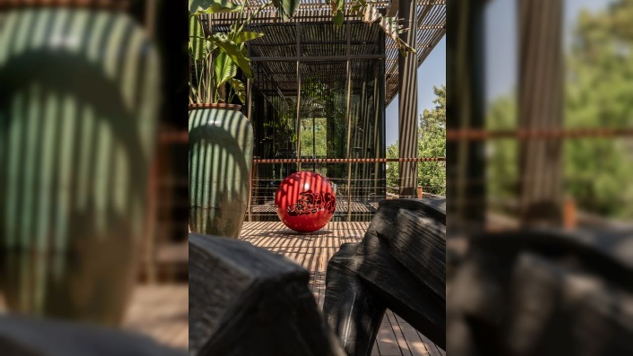 Galeri Bosfor “Doğanın Yankıları” ile Mesa Bodrum’da