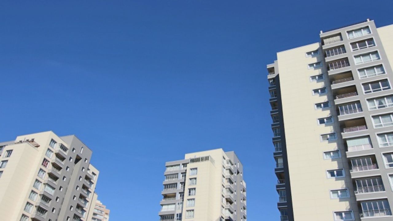 Yarısı Bizden'e Rekor Başvuru