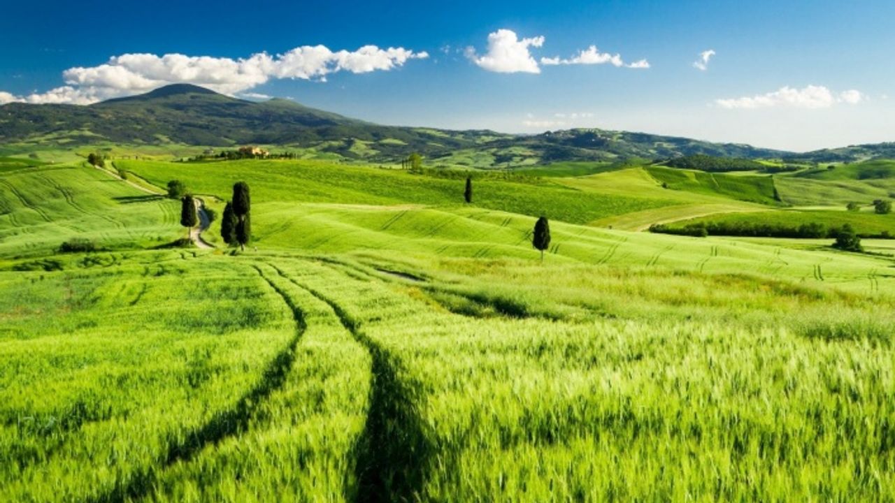 Arsa Satışları Rekora Koşuyor