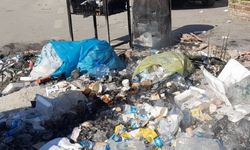 Hatay'da Biriken Çöpler Toplanmaya Başlandı