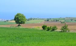 Tekirdağ'da 73 Arsa Satışa Çıkarıldı