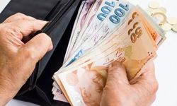 Aile Bütçesinde Aslan Payı Gıda ve Konutun