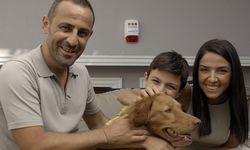 Securitas Alarm Evinizi Riskli Hale Getiren Güvenlik Hatalarına Karşı Uyarıyor