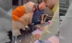 Evinin Tapusunu Köpeğe Veren Kadın Tutuklandı