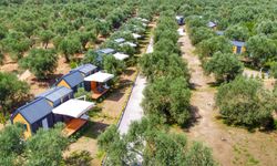 Tiny House Yasaklandı