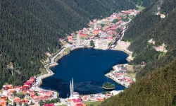 Uzungöl'de Kaçak Yapılar Yıkılıyor