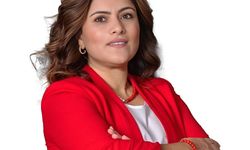 Prof. Dr. Elif Karakurt Tosun