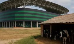 Kocaelispor Stadı’nın Dibindeki Ahır İçin 100 Milyon TL İstedi