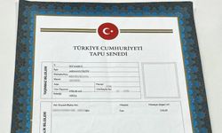 Tapu İşlemleri Rehberi: Adım Adım Sorunsuz Devir ve e-Devlet Kolaylıkları