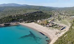 Yarım Asırlık Tapu Çilesi: 800 Kooperatif Üyesi 45 Yıldır Adalet Arıyor