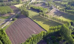 Hazine Arazisi Nasıl Alınır? Adım Adım Satın Alma Rehberi