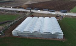 Tarlasına Sera Kuran Evini Yapabilir!