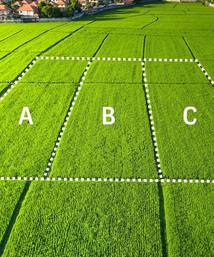 Arsa Bölme (İfraz) Nedir, Nasıl Yapılır?