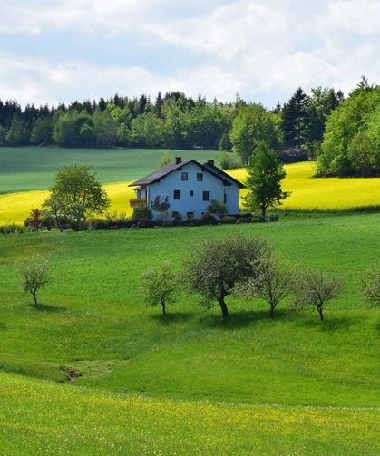 Elbirliği Mülkiyeti ile Paylı Mülkiyet Farkı: Hissenizi Korumak İçin Bunu Mutlaka Yapın!