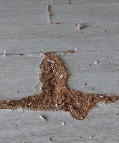 Kiracı Mülke Zarar Verirse Ev Sahibi Ne Yapabilir?