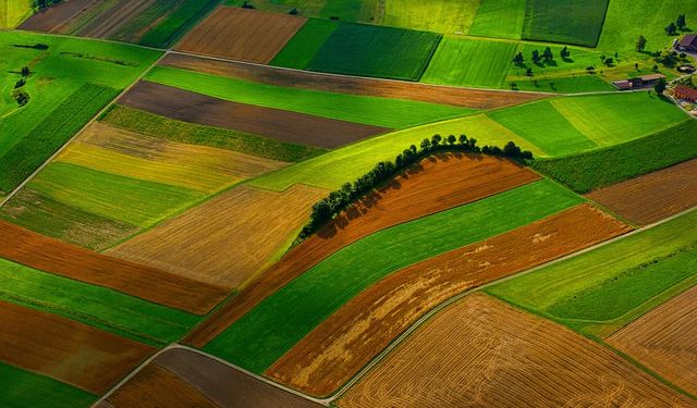 Arsa Yatırımı Öne Çıkarıyor: Yatırımcının Yeni Limanı Arsa