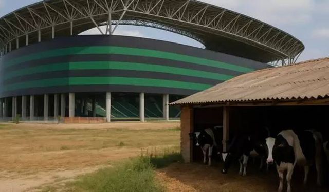 Kocaelispor Stadı’nın Dibindeki Ahır İçin 100 Milyon TL İstedi