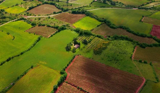 Hisseli Arsası Olanlar TOKİ Sosyal Konuta Başvurabilir mi?
