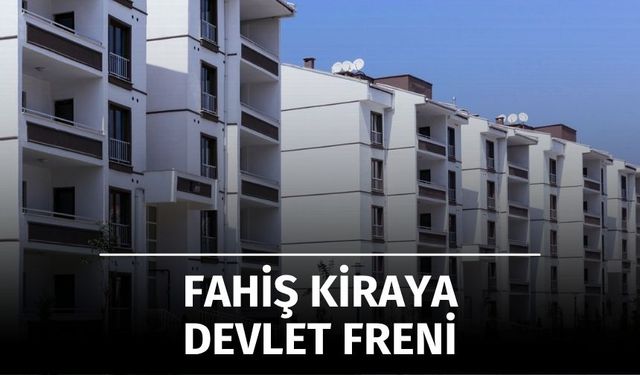Fahiş Kiraya Devlet Freni