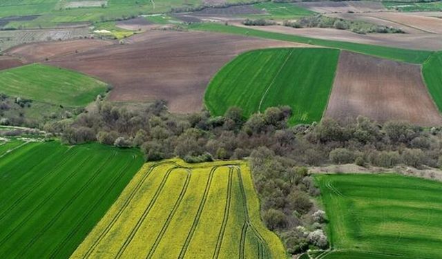 Arsa Yatırımında 5 Hatalı Tercih!