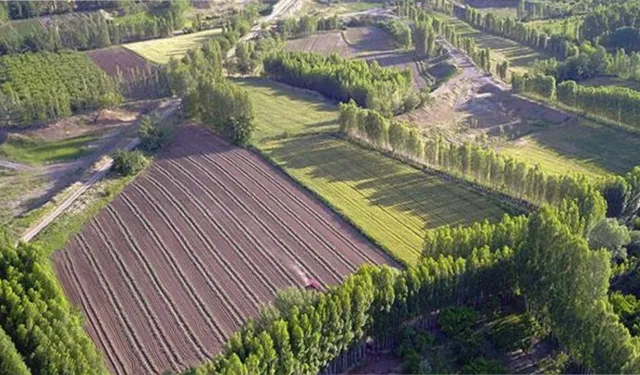 Hazine Arazisi Nasıl Alınır? Adım Adım Satın Alma Rehberi