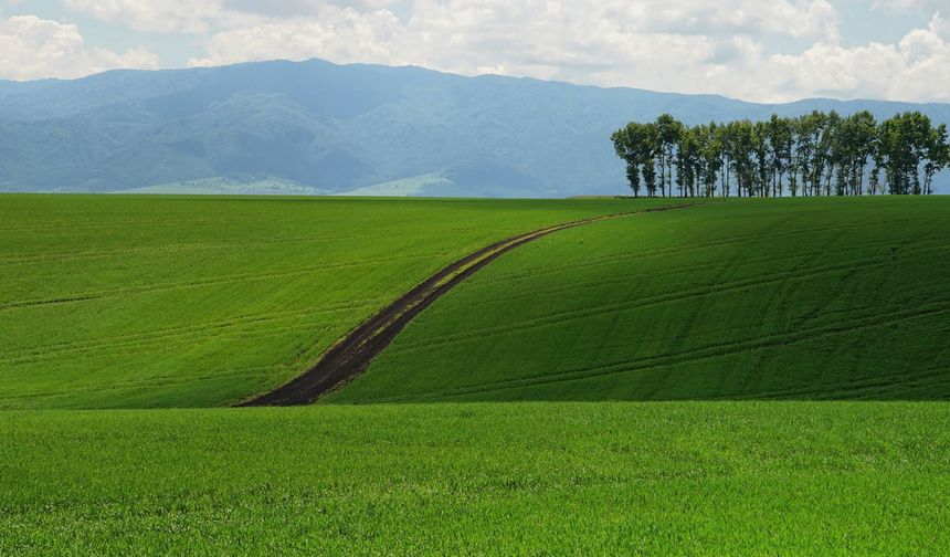 Tarla - Arsa - İmarlı Arsa: Ne Zaman, Hangisine Yatırım Yapılır?