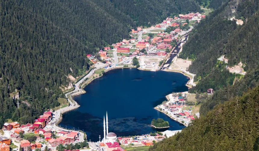 Uzungöl'de Kaçak Yapılar Yıkılıyor