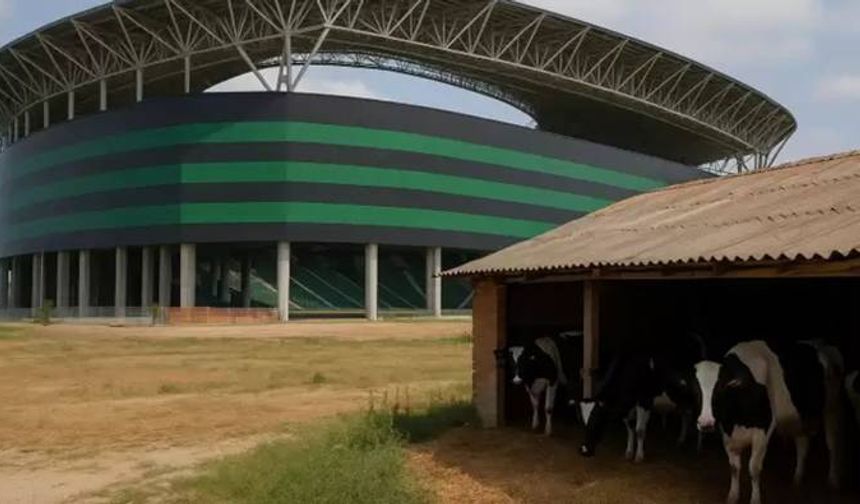 Kocaelispor Stadı’nın Dibindeki Ahır İçin 100 Milyon TL İstedi